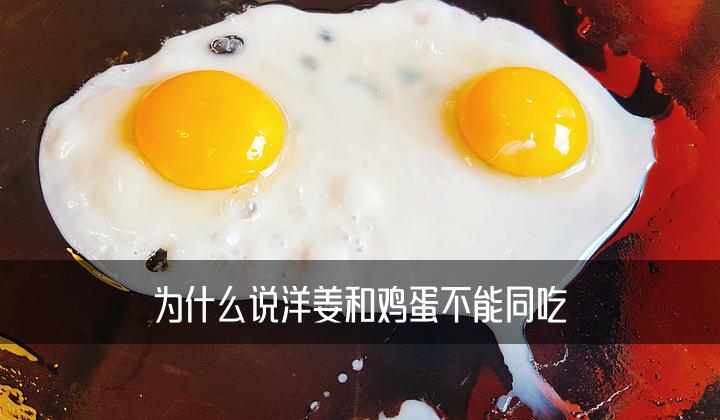 为什么说洋姜和鸡蛋不能同吃的原因呢英语作文